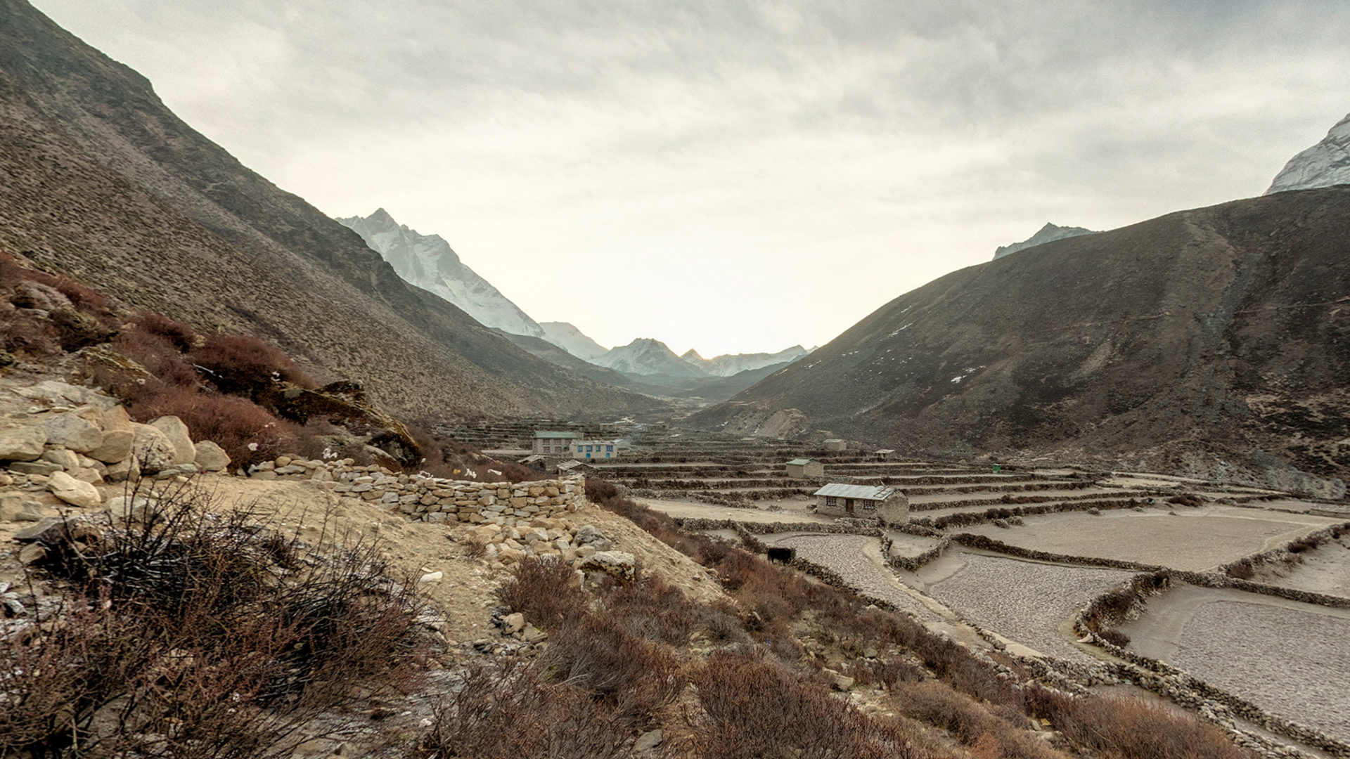 ¡La alimentación es fundamental!