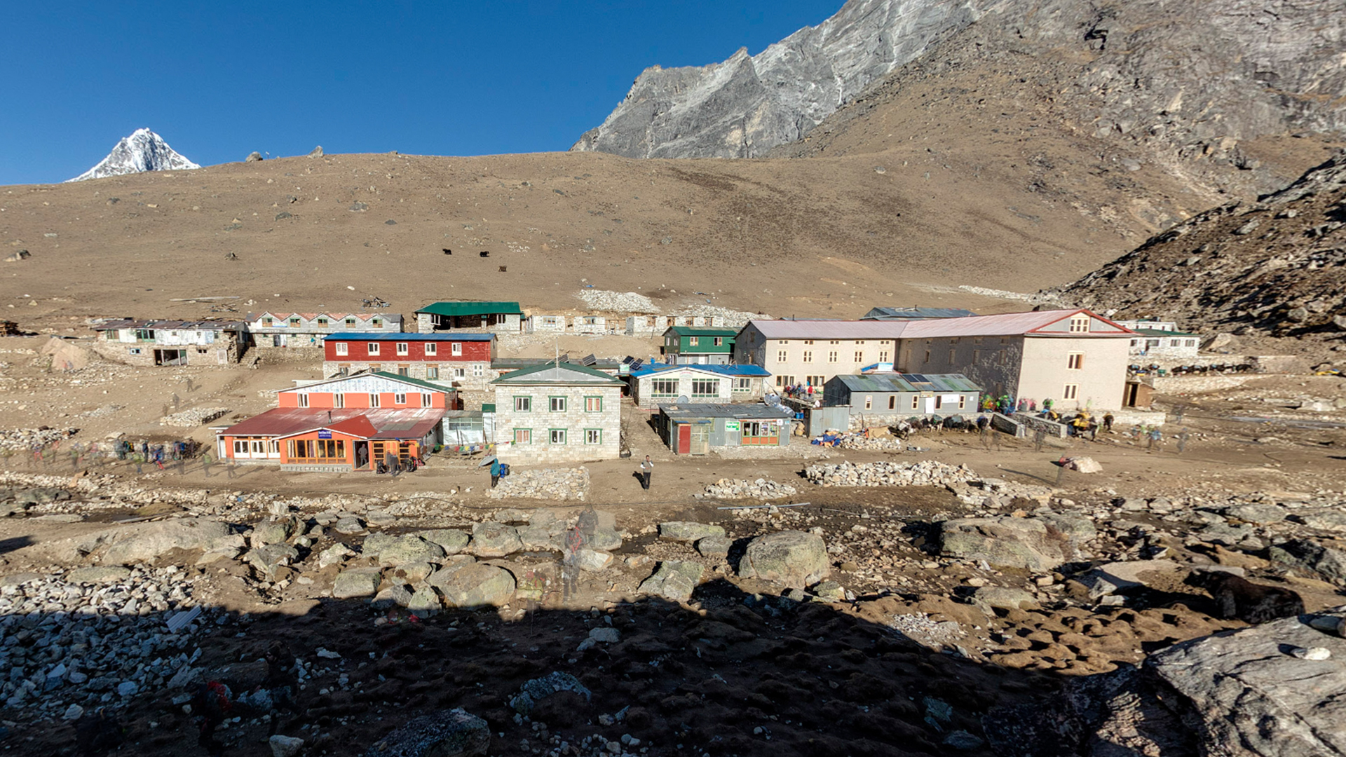 ¡Randy va muy bien!