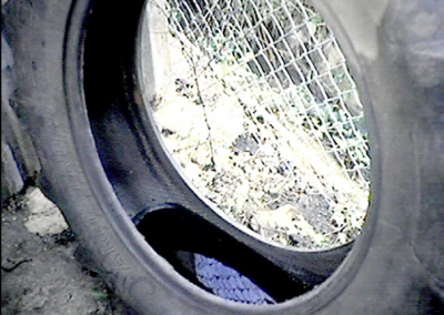 Recicle los neumáticos usados o guárdelos en un lugar que los mantenga protegidos de la lluvia