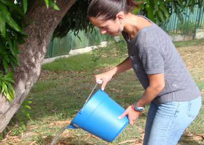 Drene y elimine las aguas estancadas