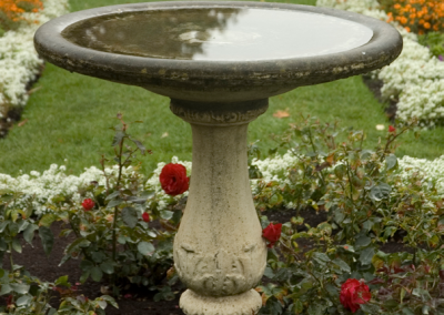 Todas las semanas, vacíe el agua estancada de las fuentes y de los bebederos para aves